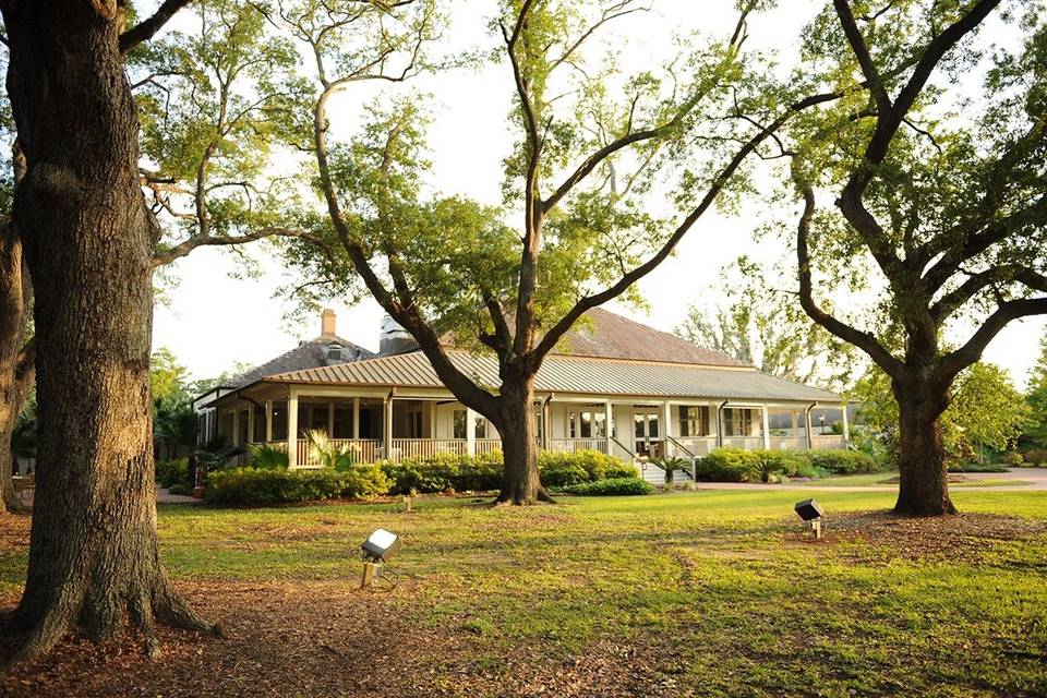 The wedding of Honea Busch and Aaron Lips at St. Anselm in Madisonville,  Louisiana and reception at the Tchefuncta Country Club on May 28, 2005.