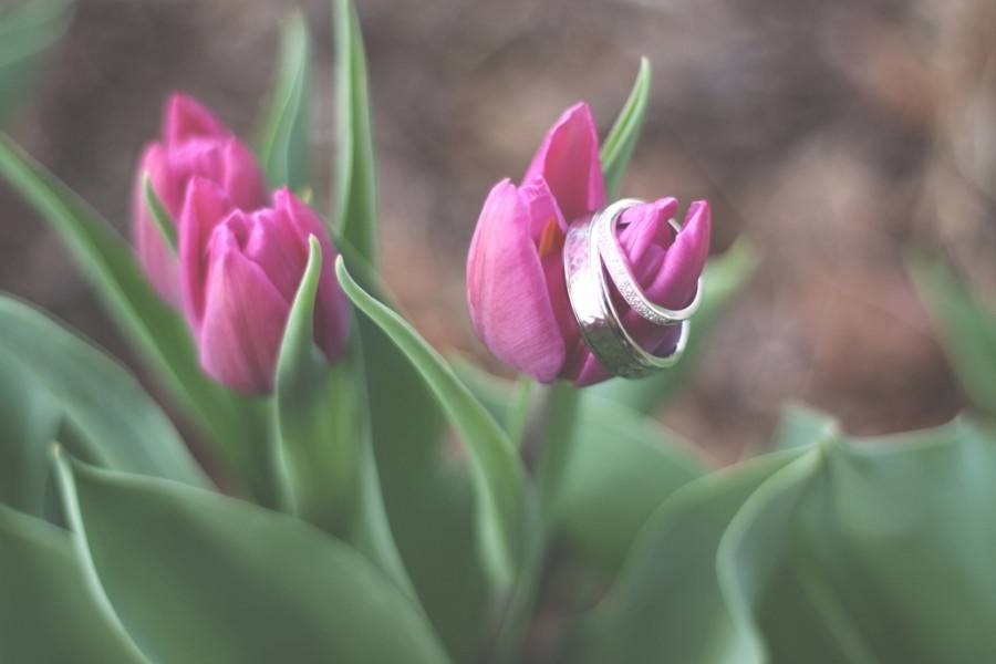 Heidi Uhlman Photography