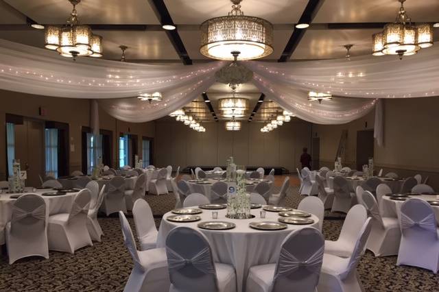 Draping Celling, Chairs Cover,
