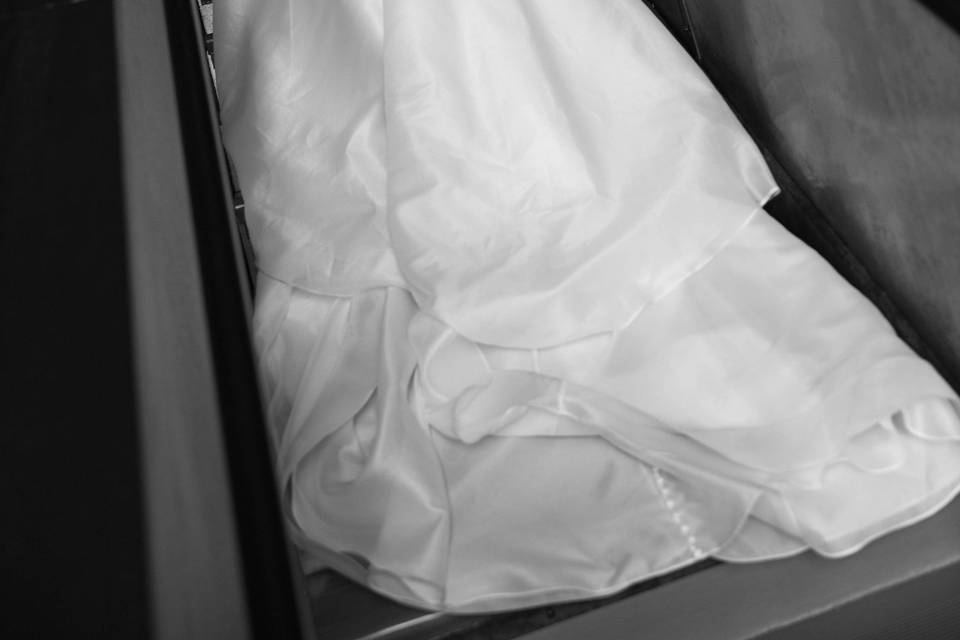 Lauren Tassi Photography