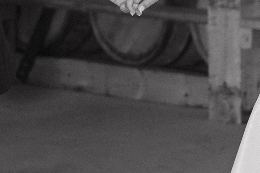 Lauren Tassi Photography