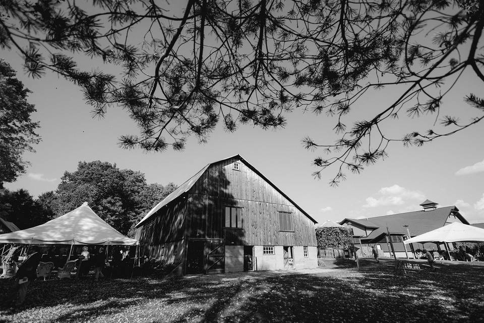 Courtney Kent Photograhy