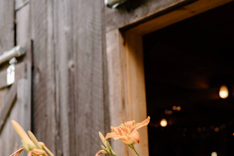Ryon Elizabeth Photography