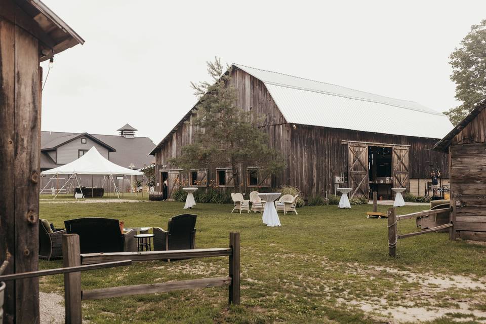 Nicole DiGiovanni Photography