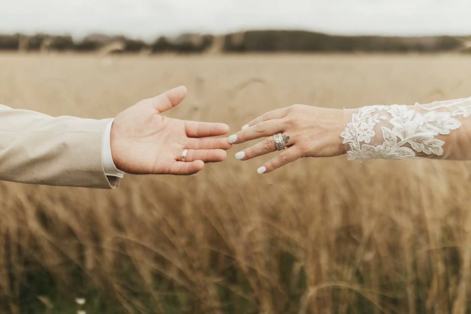 Nicole DiGiovanni Photography