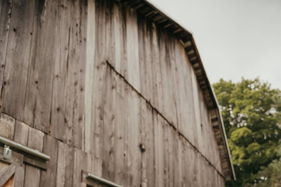 Nicole DiGiovanni Photography