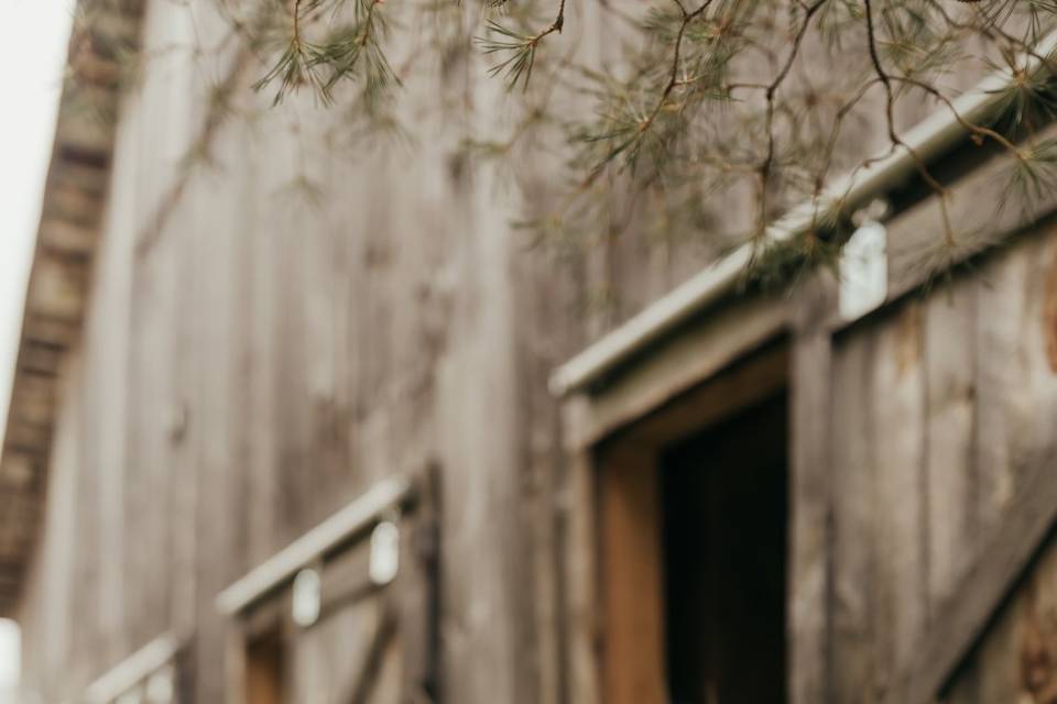 Nicole DiGiovanni Photography