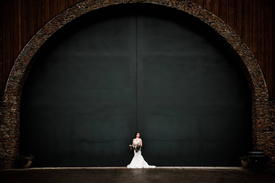 Dionne Kraus Photography10