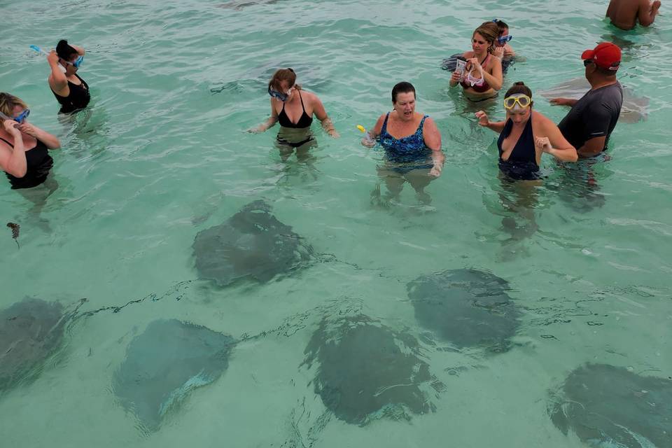 Swimming with rays