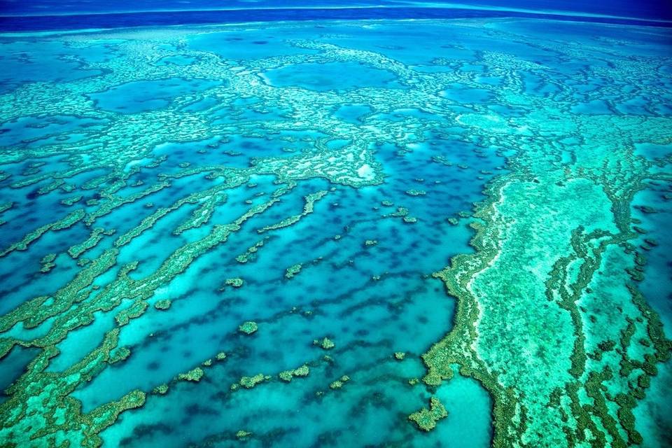 Great Barrier Reef, AUS