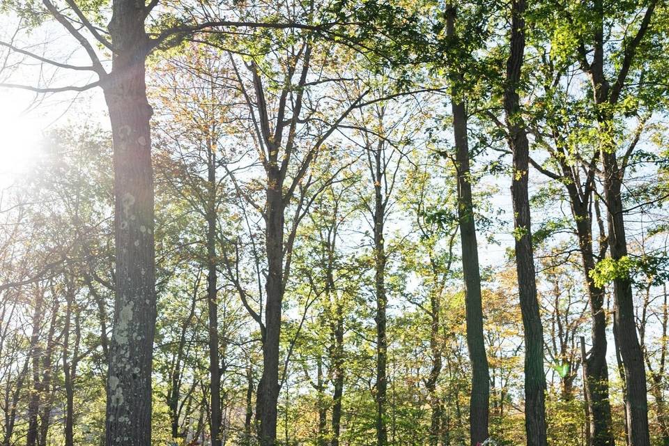 Oct 2024 at Seven Springs