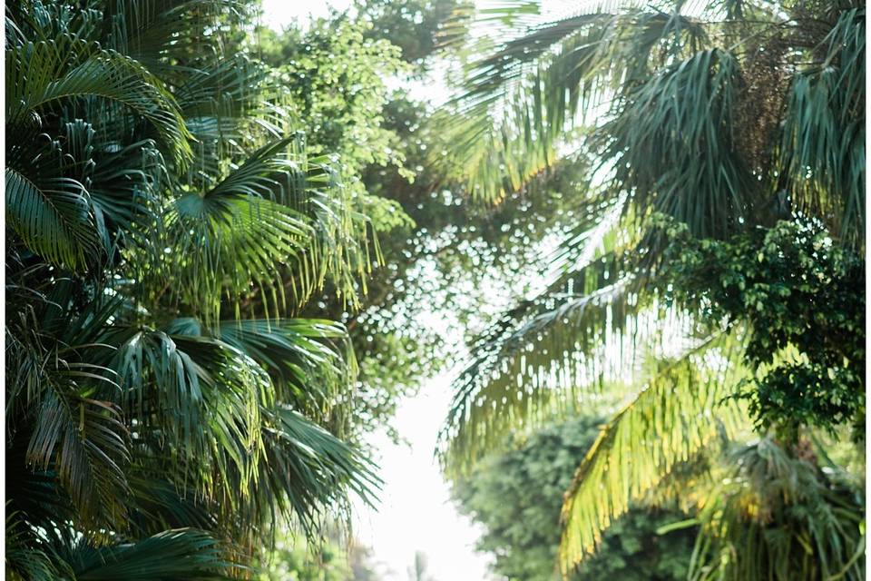 Captiva Island Wedding