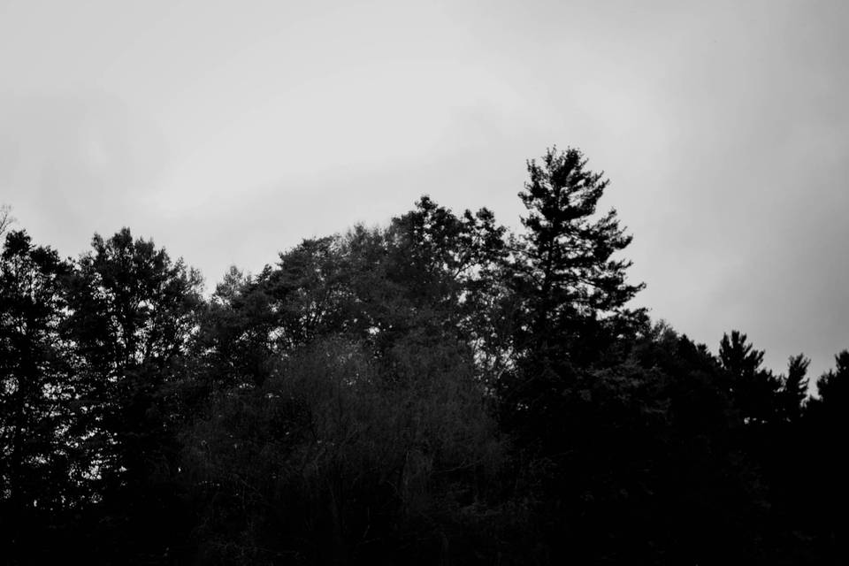 Bride in the mountains