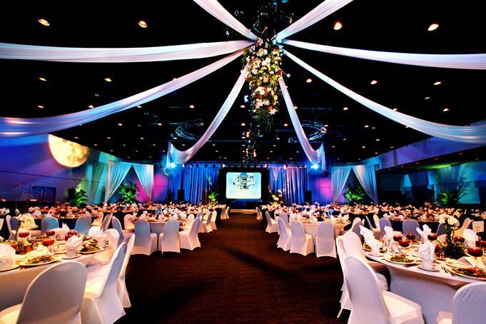 Wedding reception