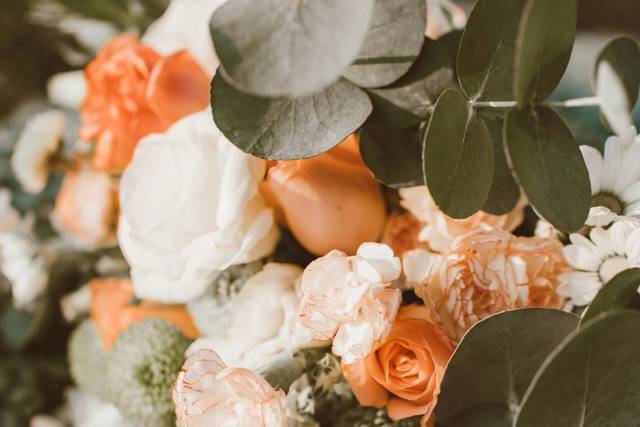 Sugar Creek Events