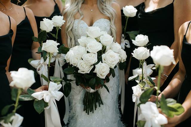 Melissa Timm Designs