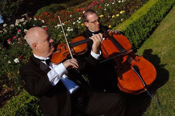 Cello and violin