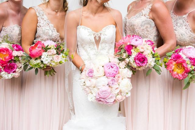 Andrea Elizabeth Photography