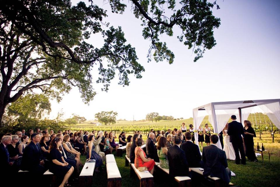 Guests seated for the ceremony