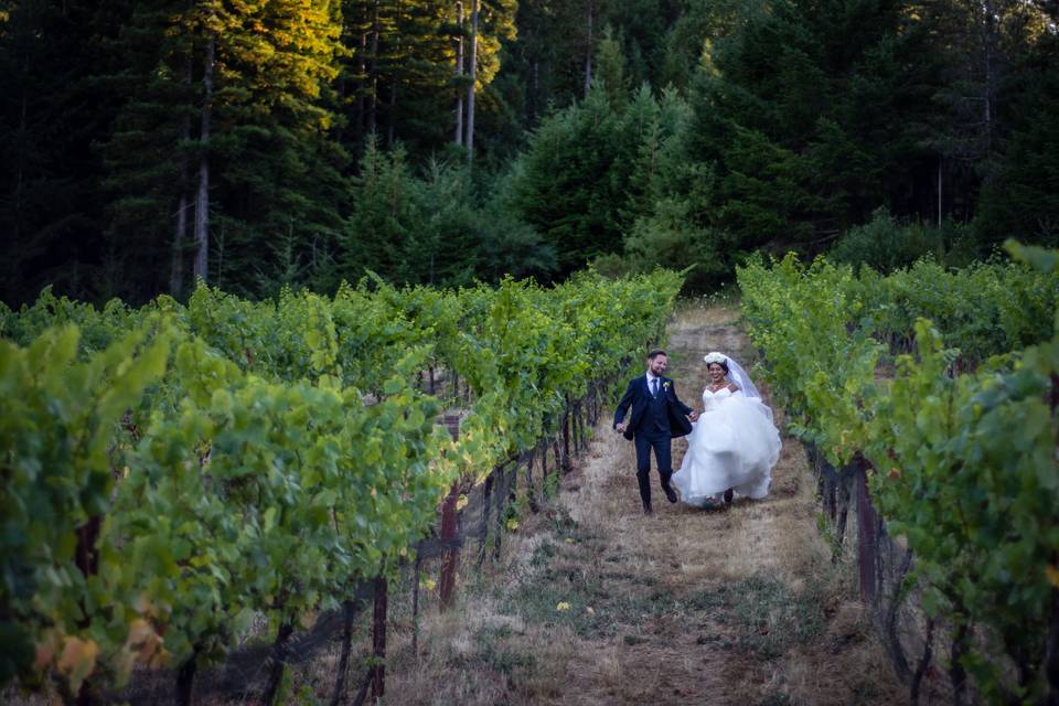 Napa Wedding Co.