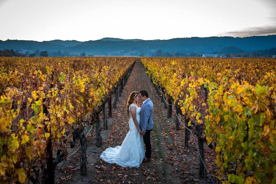 Napa Wedding Co.