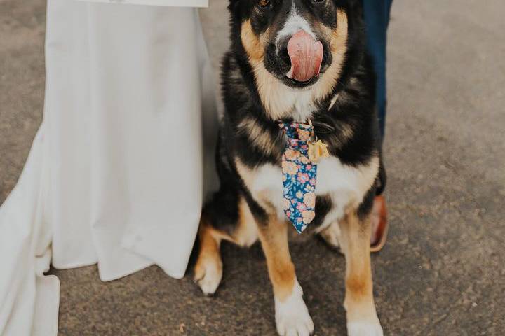 Matching floral ties