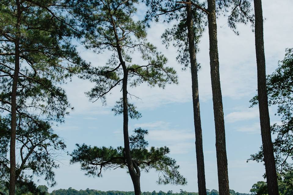 Bay Creek
