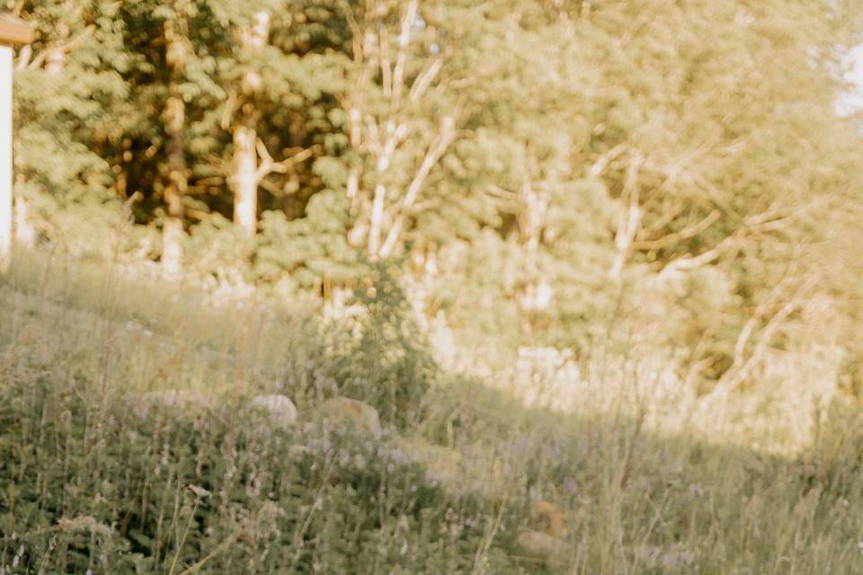 Engagement pictures
