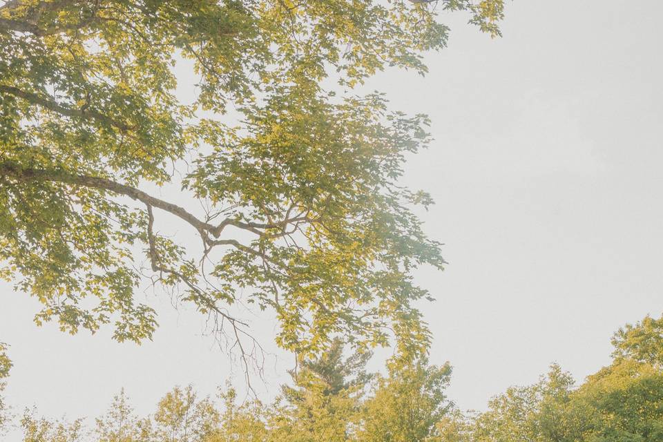 Engagement pictures