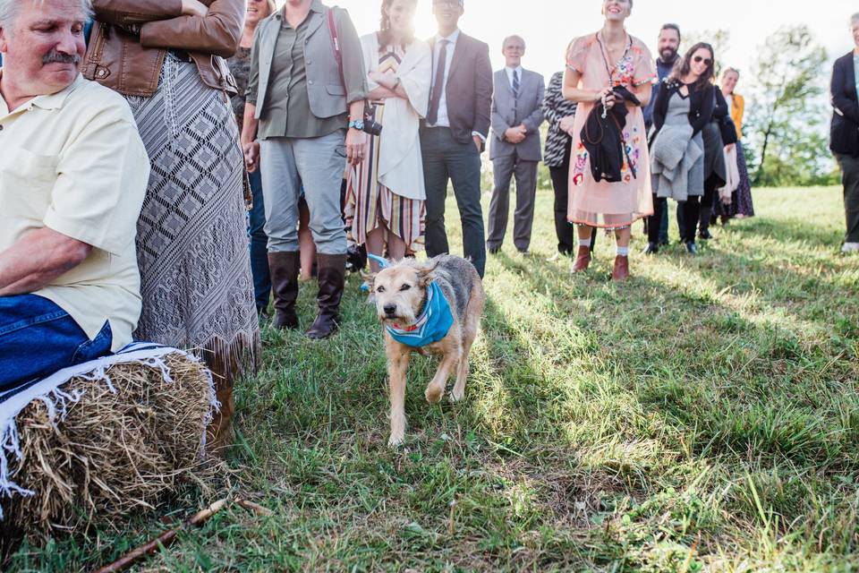 Wedding ceremony