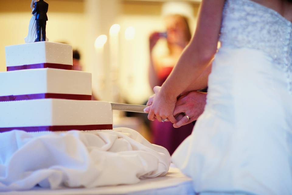 Cake Cutting