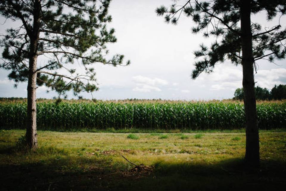Scenic Country View
