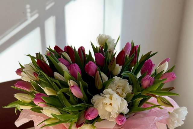 Simple Tulips Studio.com
