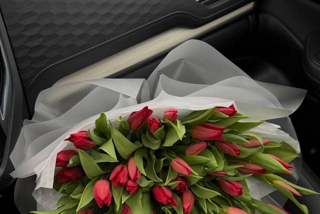Simple Tulips Studio.com
