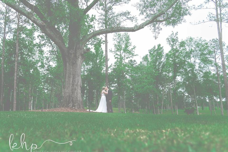 Kristen Hollingsworth photography