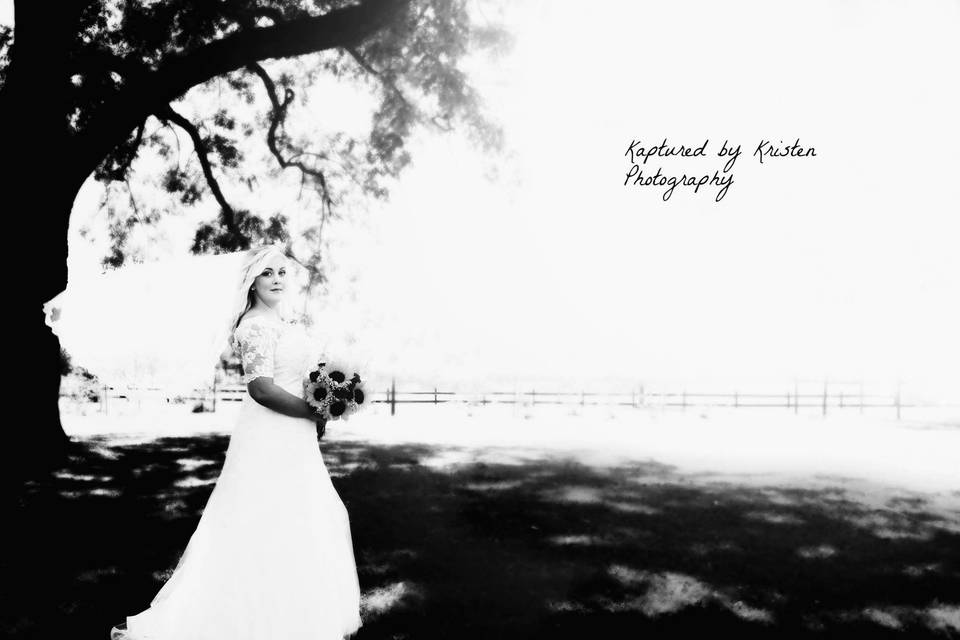 Kristen Hollingsworth photography