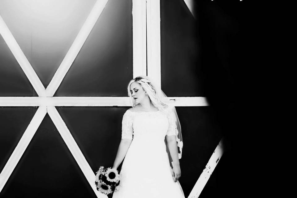 Kristen Hollingsworth photography