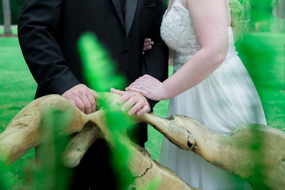 Kristen Hollingsworth photography
