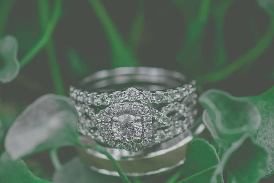 Kristen Hollingsworth photography