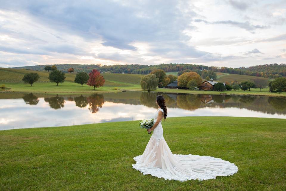 Bridal shot