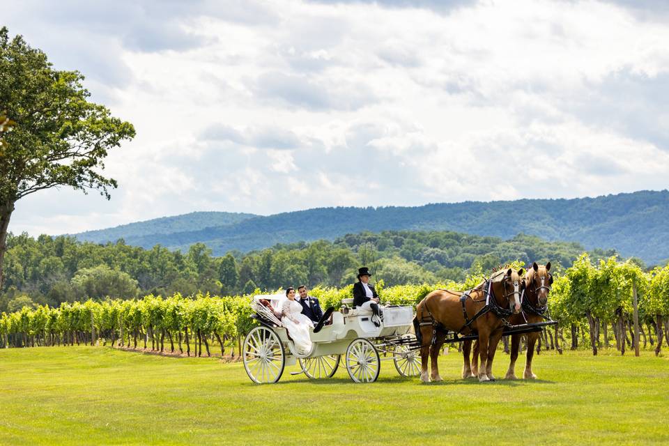 Horse & Carriage