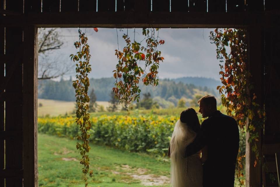 View from barn