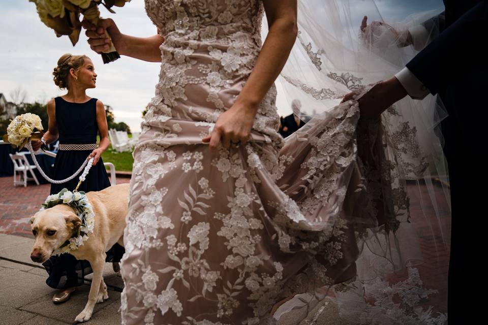 Bride, dog, junior bridesmaid