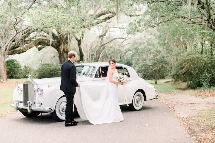 Under the live oaks