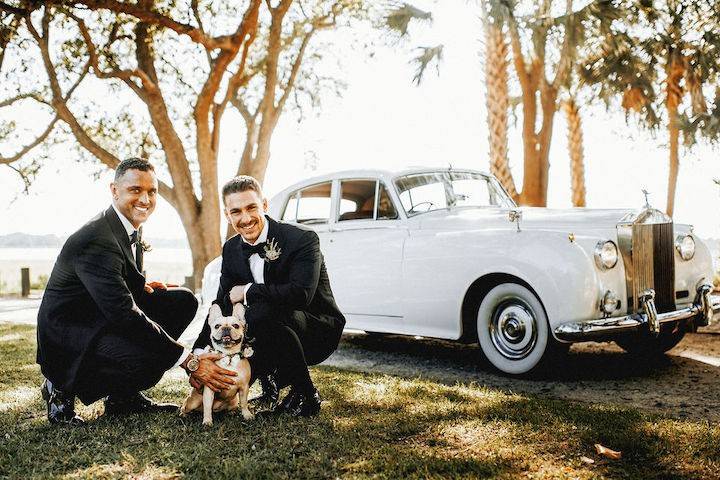 Vintage car & doggy