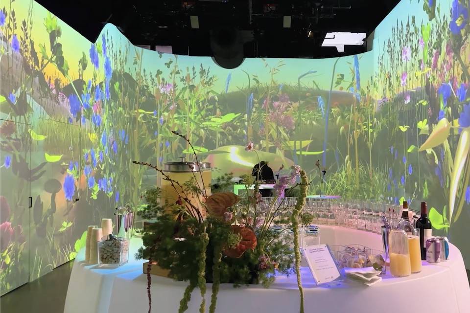 Halucinated Studios