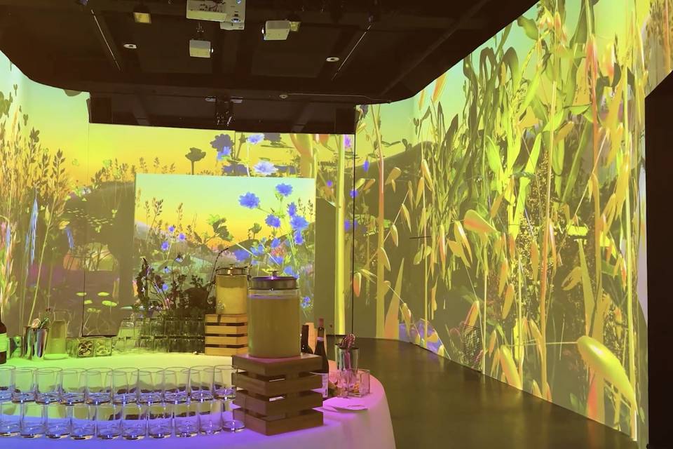 Halucinated Studios