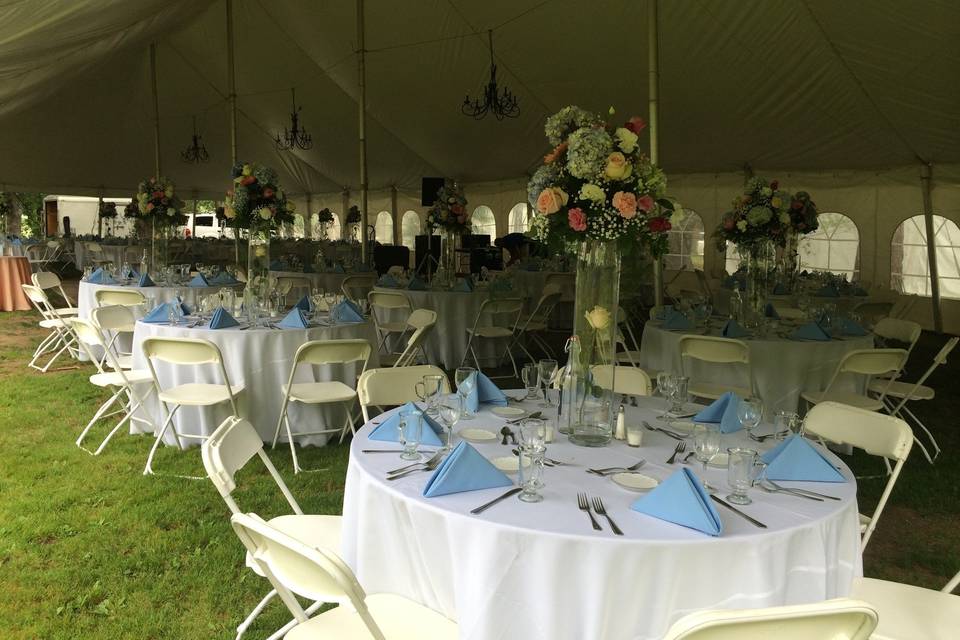 Any Event Party Rentals and Sales