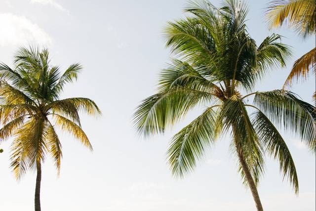 Beachfront Wedding St. Croix