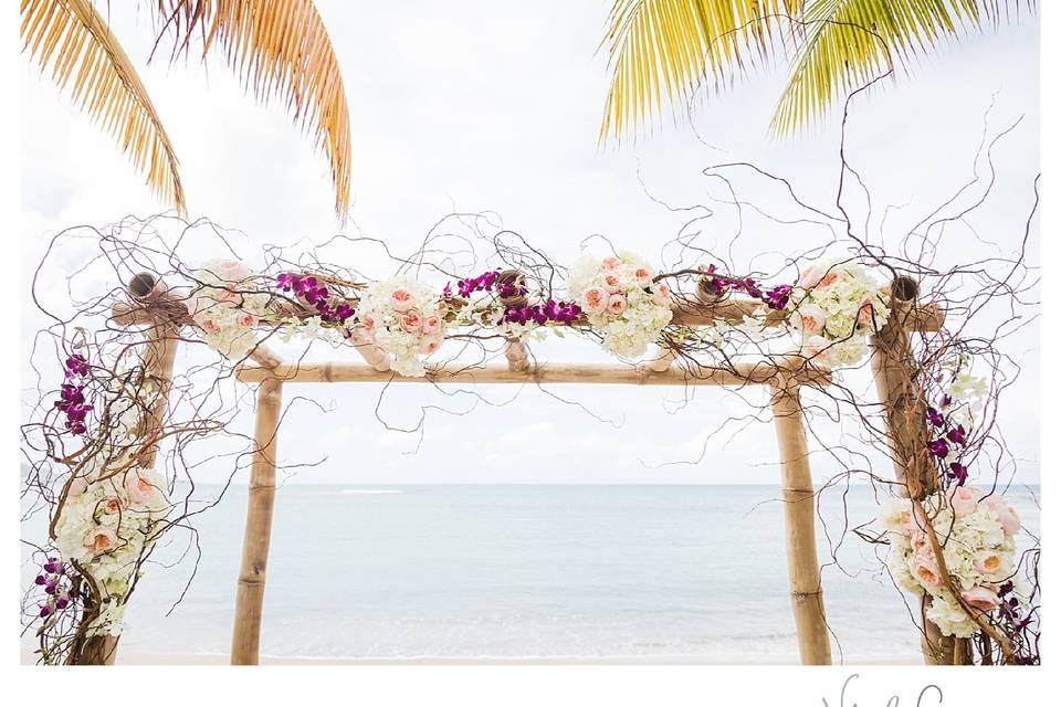 Ceremony Canopy Upgrade